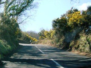 Porlock Hill