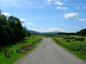 View from visitor centre road, off A470