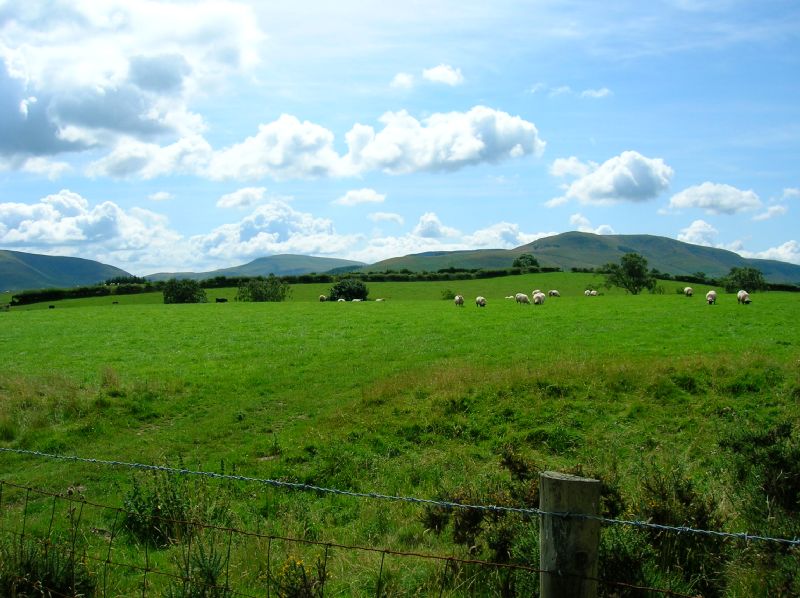 View from the Visitors Centre Access Road