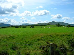 View from visitor centre road, off A470