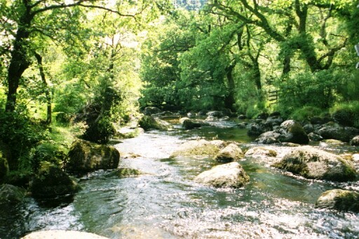 River at Dartmeet