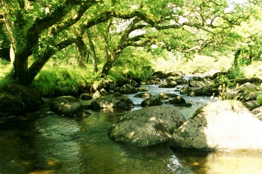 River at Dartmeet