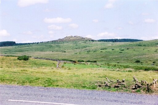 Looking east from the milestone.