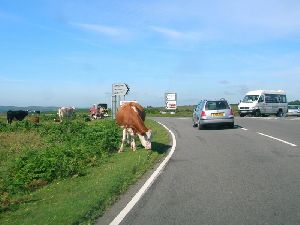 A4118 junction with B4271