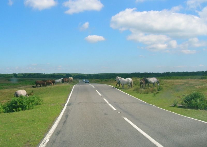 Cefn Bryn