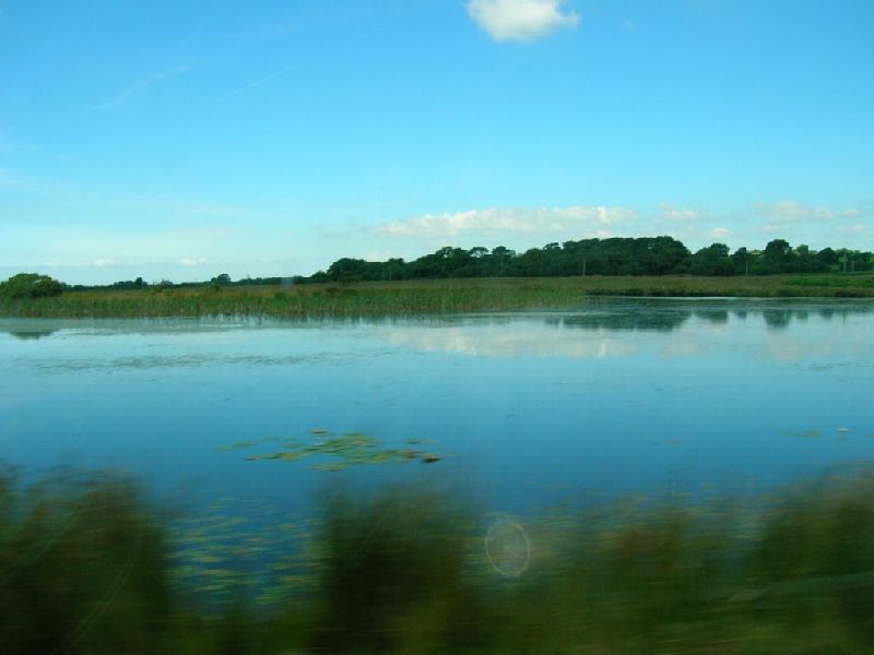 Cefn Bryn - Broad Pool