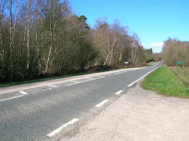 A337 - Lyndhurst