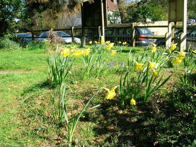 Brockenhurst St Saviour's Church