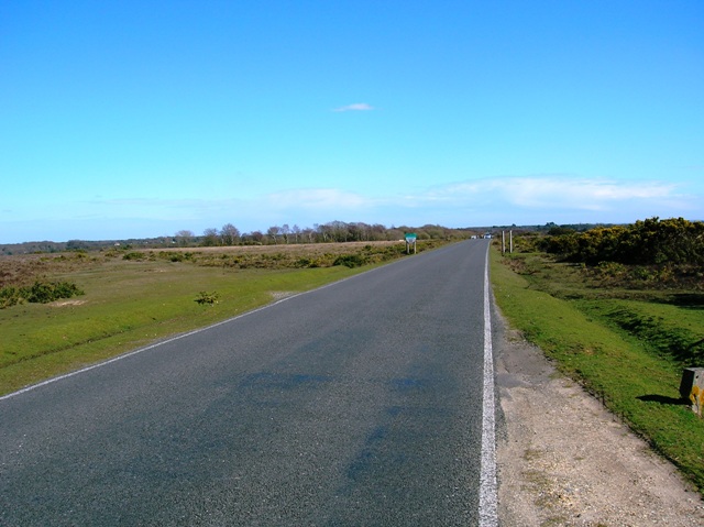 Brockenhurst New Forest Road