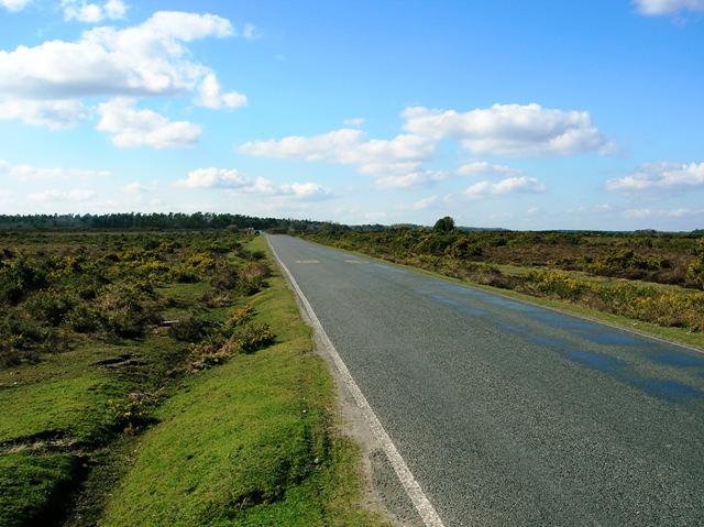 Brockenhurst New Forest Road