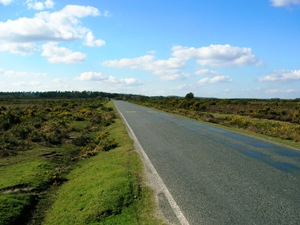 New Forest Road