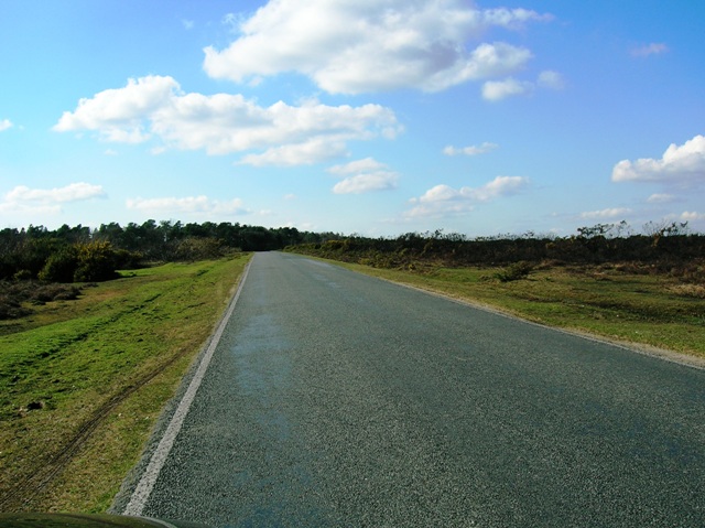 Brockenhurst New Forest Road - north of Sway