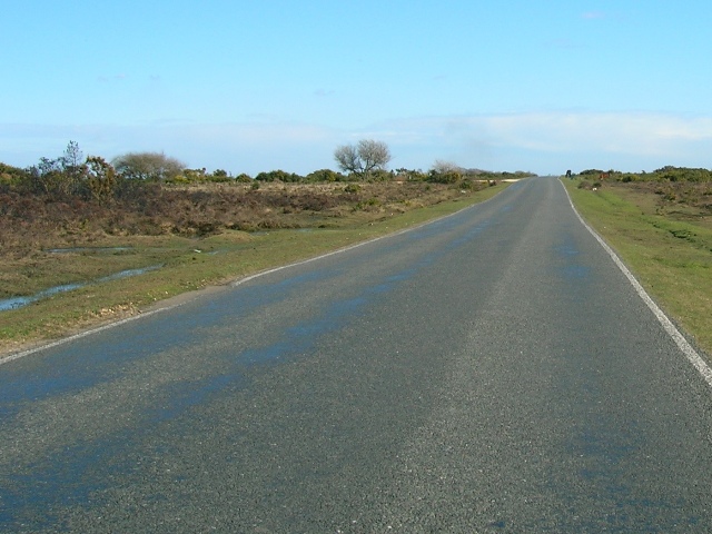 Brockenhurst New Forest Road - north of Sway