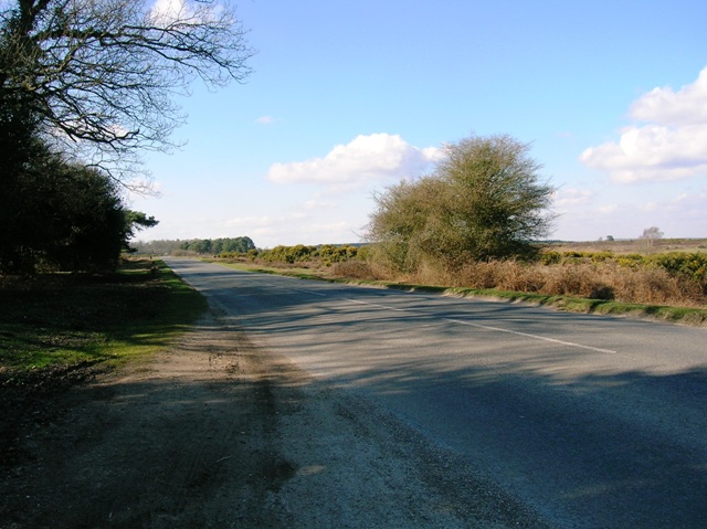 Brockenhurst New Forest Set Thorns Cott