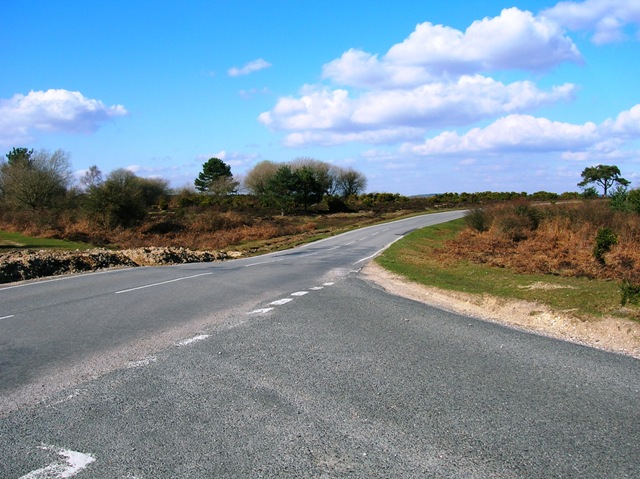 Brockenhurst New Forest Wilverley Plain