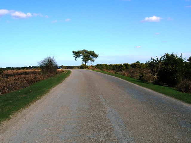 Brockenhurst New Forest Hinchelsea Moor