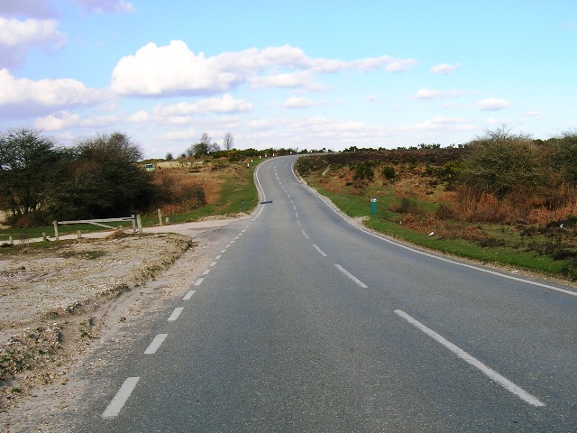 Brockenhurst New Forest Hinchelsea Moor