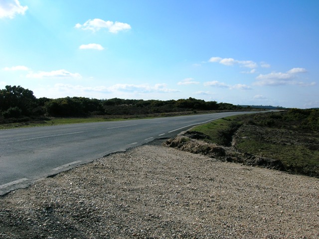 Brockenhurst New Forest Hinchelsea Moor