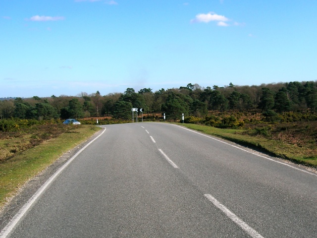 Brockenhurst New Forest Hinchelsea Moor