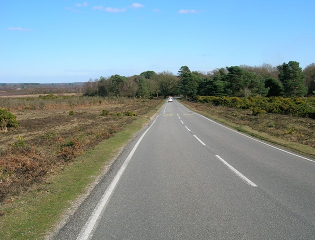 Brockenhurst New Forest Hinchelsea Moor