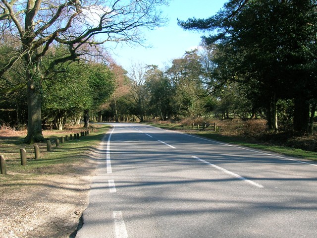 Brockenhurst New Forest Hinchelsea Woods