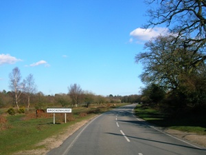Brockenhurst Sign