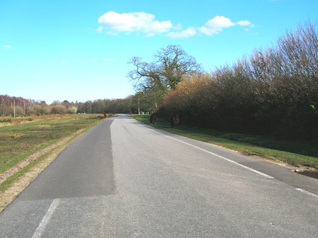 Brockenhurst New Forest