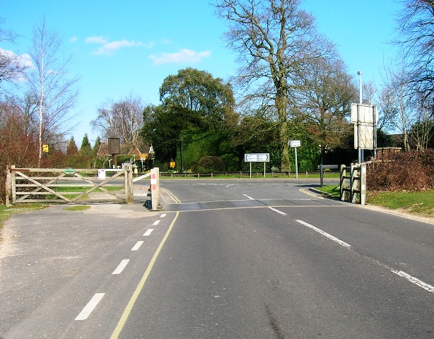 Brockenhurst New Forest Cattle Grid