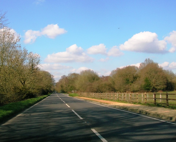 A337 Brockenhurst New Forest