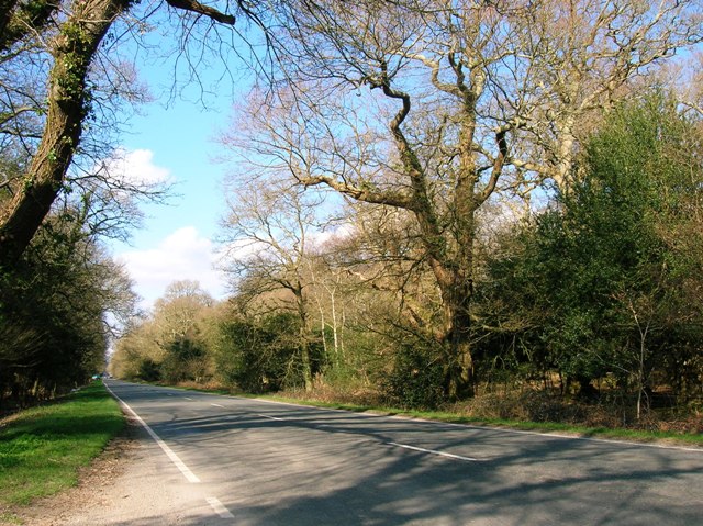 A337 Brockenhurst New Forest