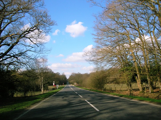 A337 Brockenhurst New Forest