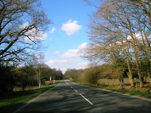 Brockenhurst A337