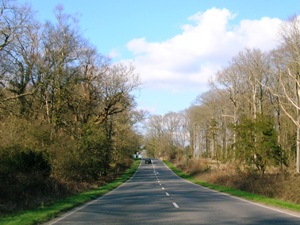 Brockenhurst A337