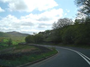 A6, Shap